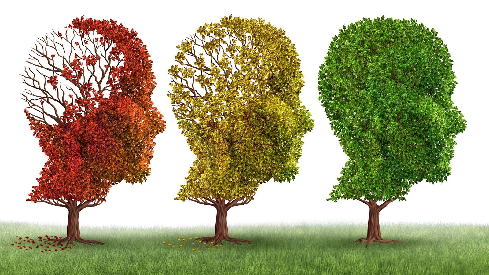 Håp ved demens og Alzheimers sykdom