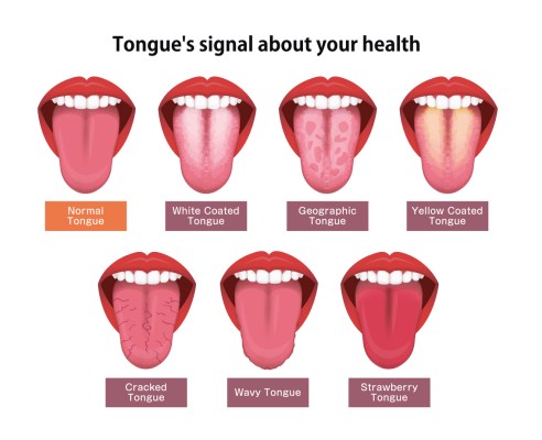 To veier til bedre forståelse av tarmhelse